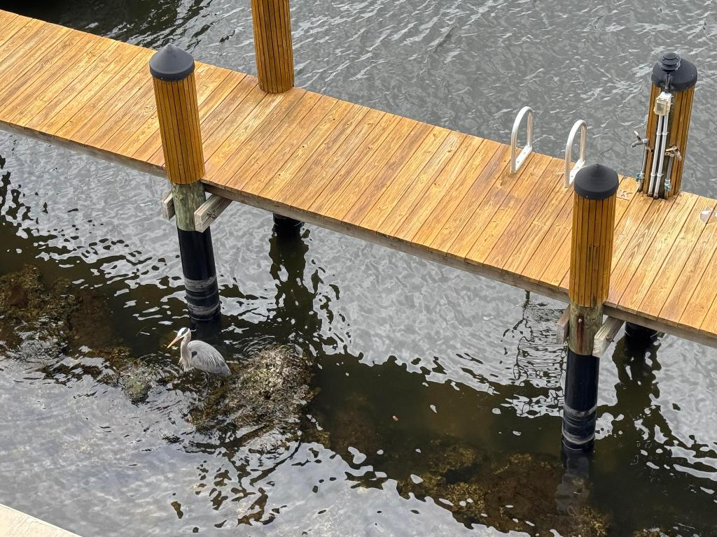 WATERWAY NORTH CONDO - Residential