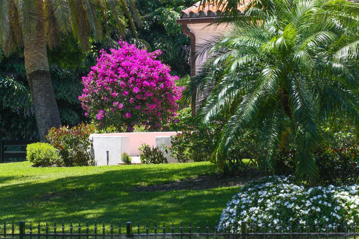 SADDLE TRAIL PARK OF WELLINGTON - Land