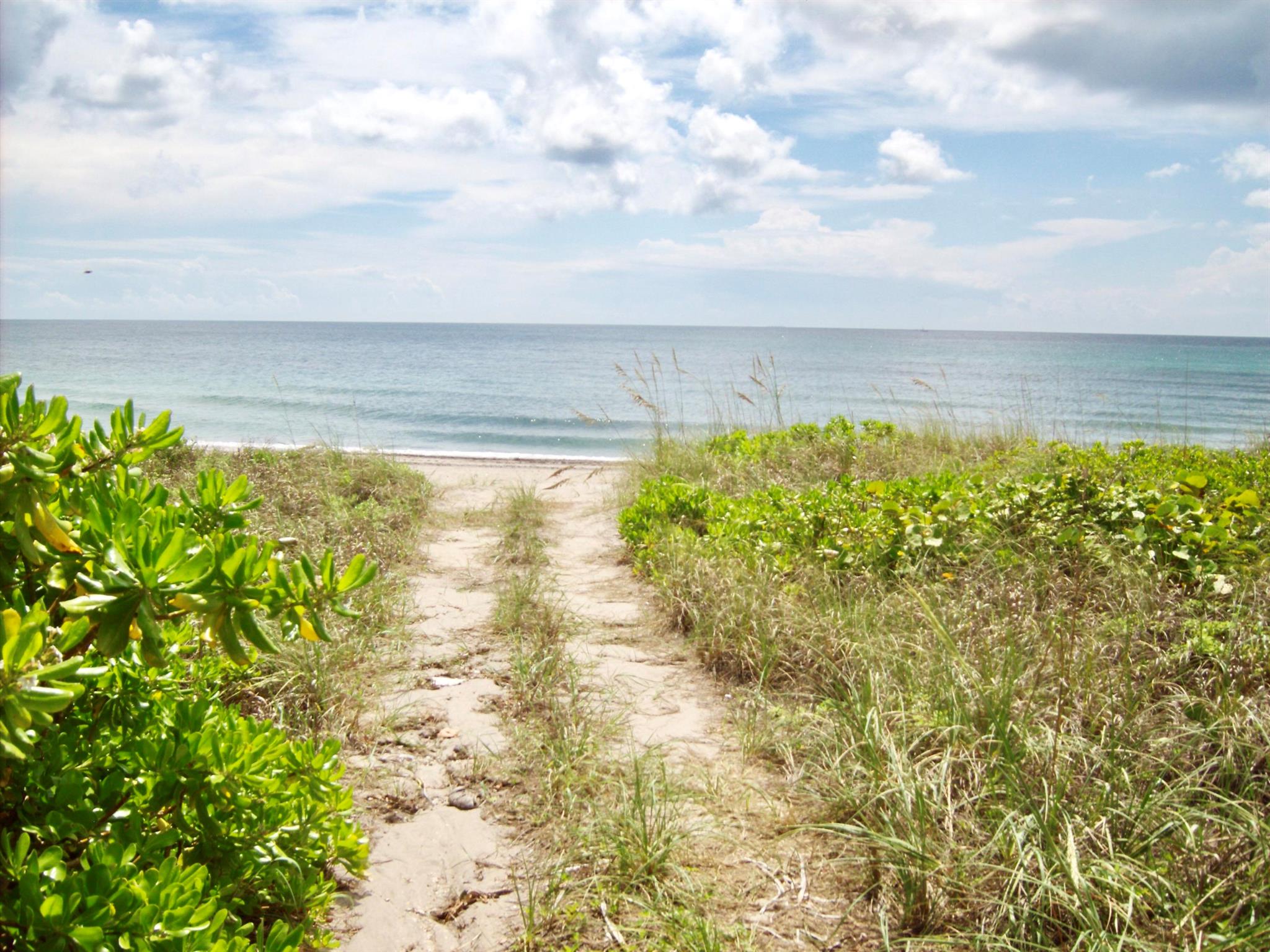 DALTON PLACE CONDO - Residential Lease