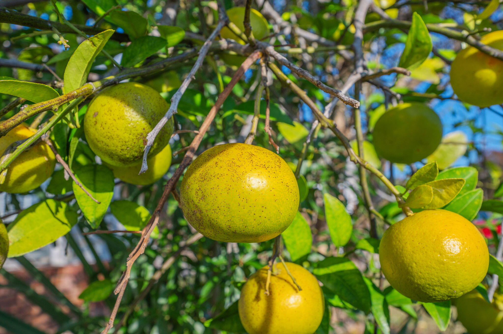 SCRANTON - Residential