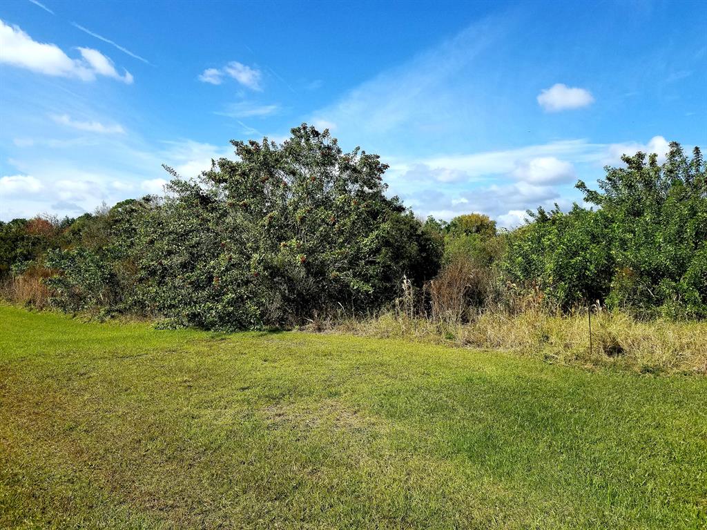 BRIDLEWOOD RANCHES 24 - Land