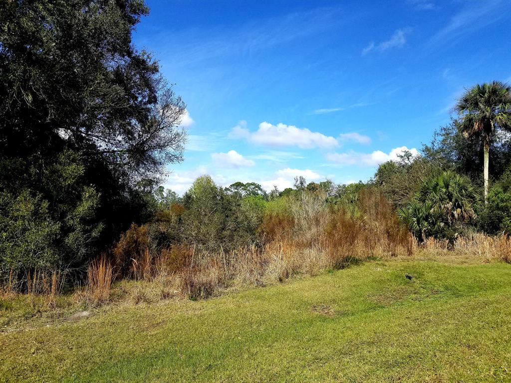 BRIDLEWOOD RANCHES 24 - Land