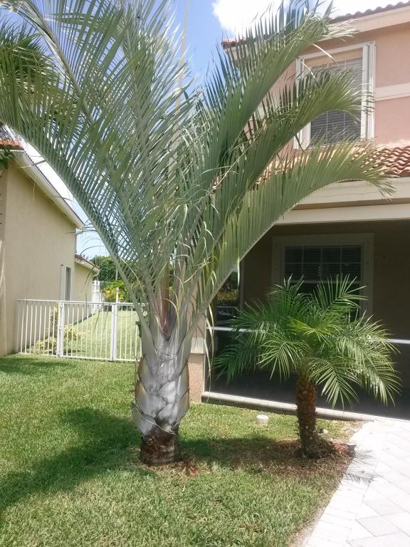 Grand Isles - Residential