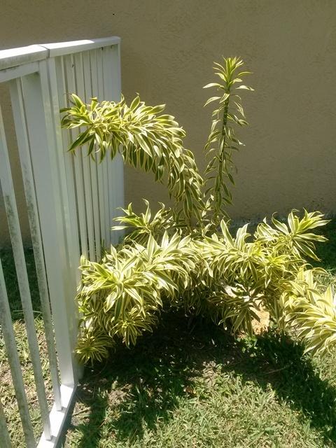 Grand Isles - Residential