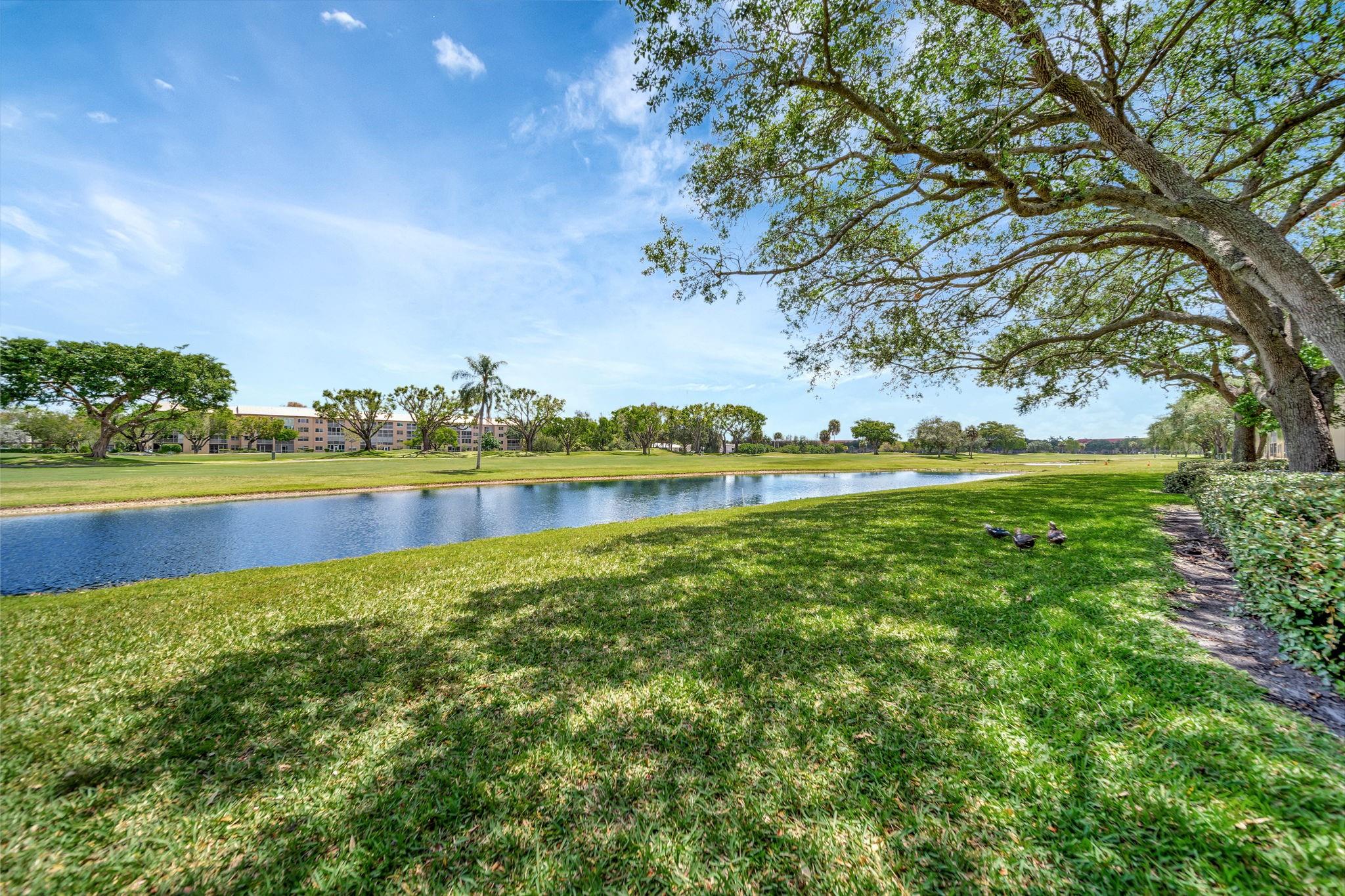 Excellent location, in the heart of Century Village, close to the clubhouse, the restaurant, and the back gate, beautiful view of the golf course and the lagoon, with all the benefits of being on the first floor, conveniently located parking space in front of the apartment, close to the mailboxes. 2 beds 2 baths, Eat In kitchen, split bedrooms, walk in shower in the master bathroom, this unit has a lot of potential and is waiting for the new owner to add his personal touch. The maintenance fee includes Cable Tv, water, sewer, internet as well as the outside maintenance, building exterior, roof. Century Village is a senior community that offers numerous benefits to its residents: Pools, Clubhouse, theater, tennis, golf, clubs and activities, shows and much more.