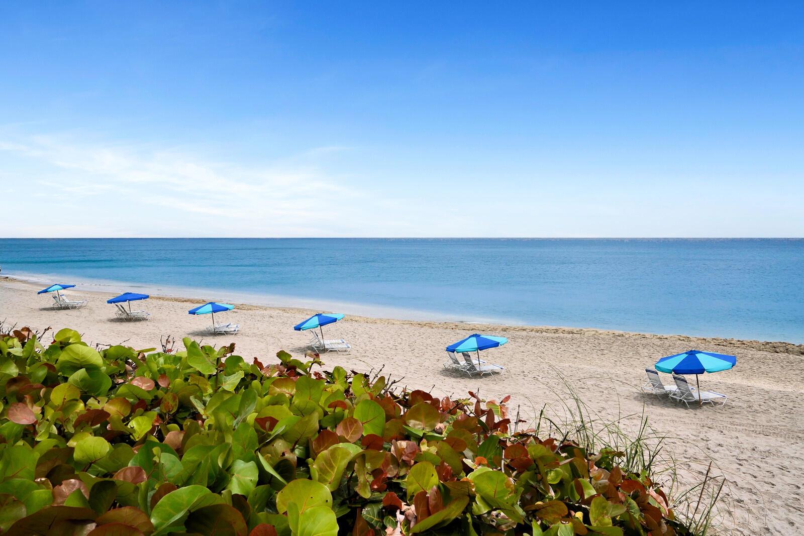 COTE D AZUR CONDO - Residential Lease