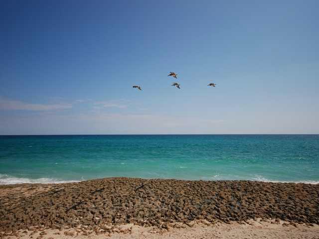 COTE D AZUR CONDO - Residential Lease