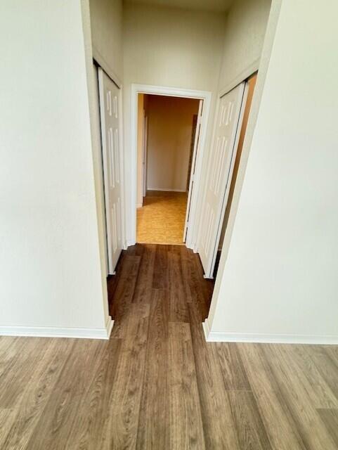 425 Greenwich Circle 204