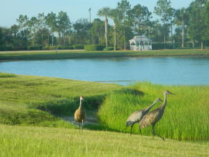 Lakes at Tradition - Residential