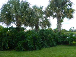 Lakes at Tradition - Residential