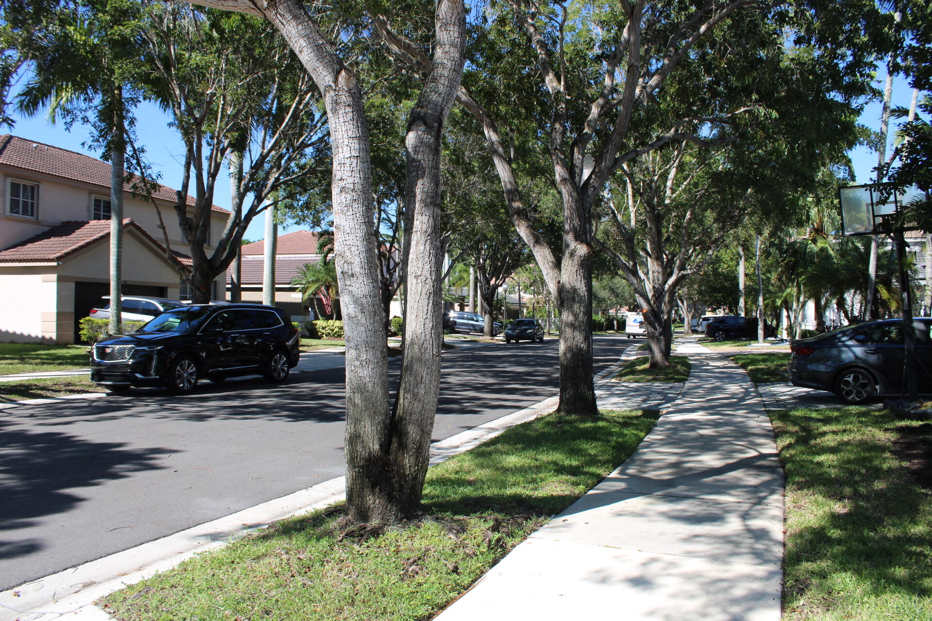 767 Nandina Drive