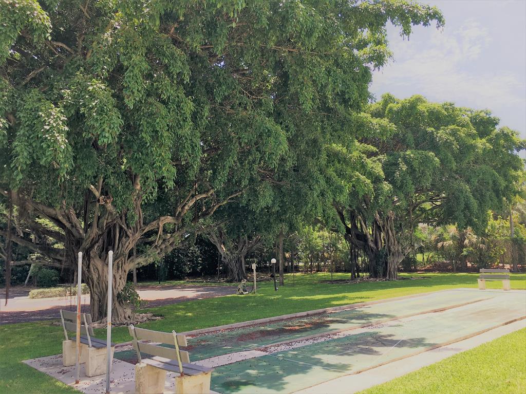 BANYAN TREE VILLAGE CONDO - Residential Lease
