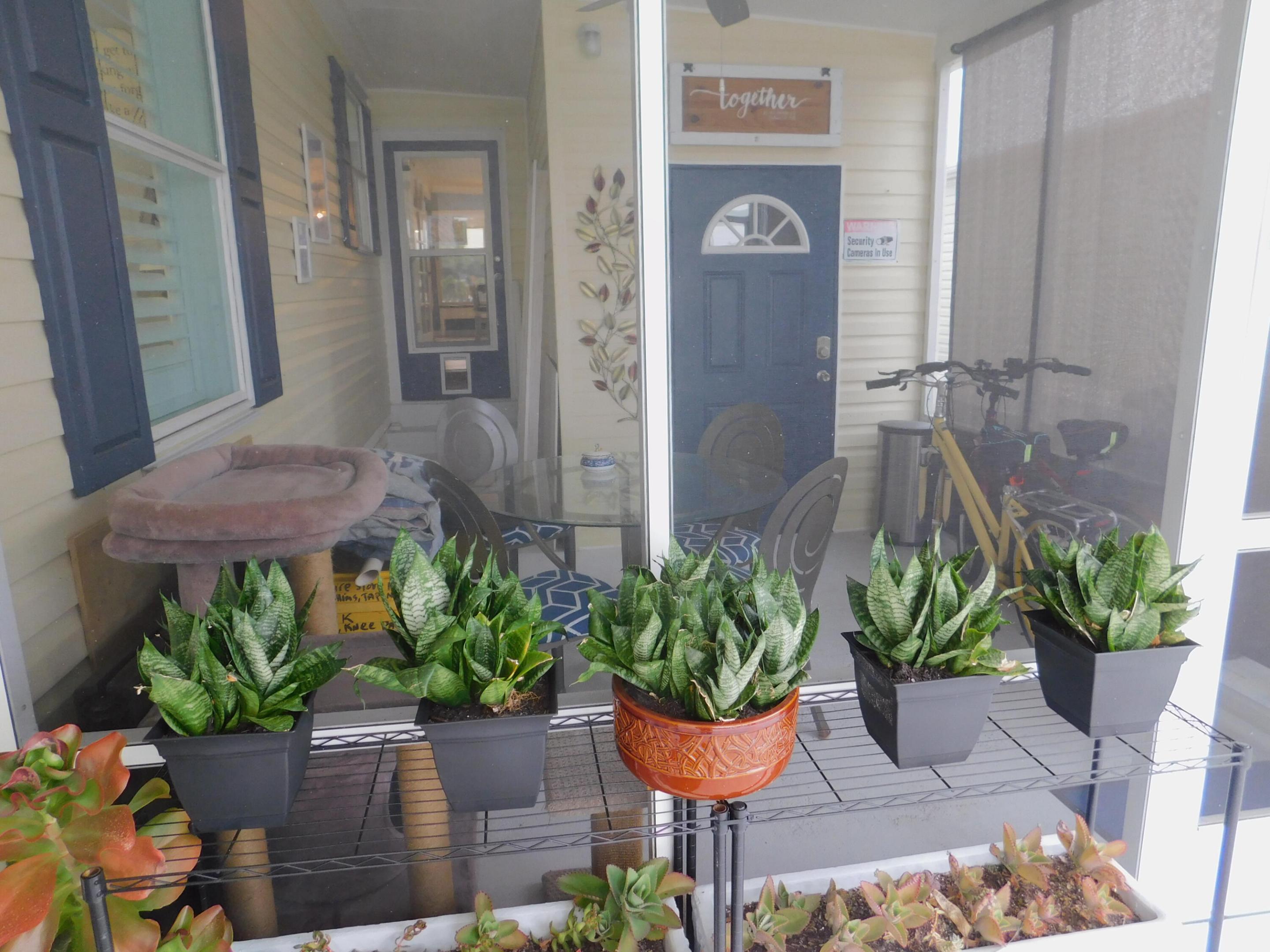 529 Hemingway Terrace 8