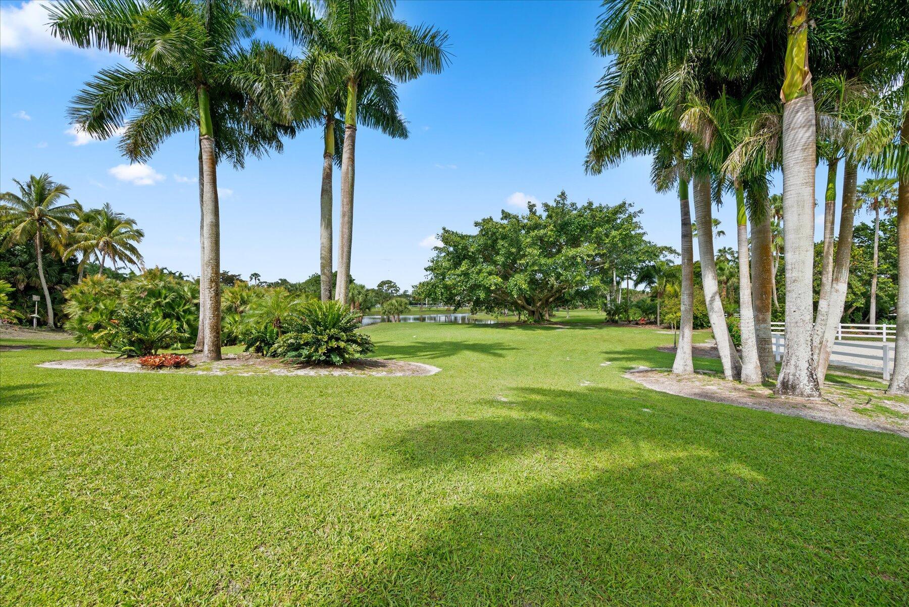 WHITE FENCES / DEER RUN 2 - Residential