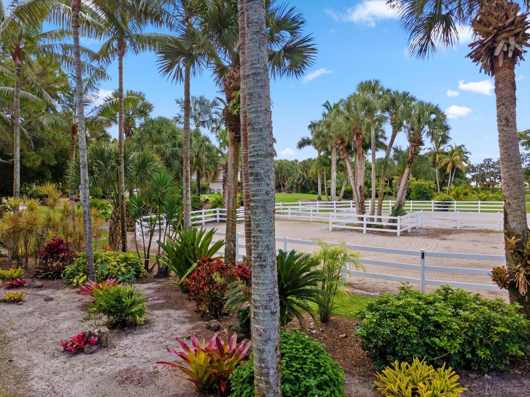 WHITE FENCES / DEER RUN 2 - Residential