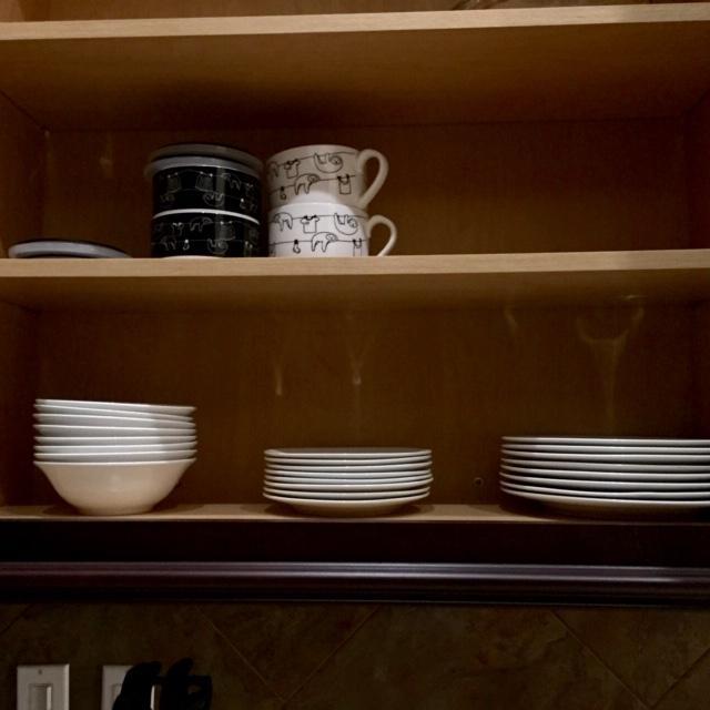 Castle Pines in PGA Village - Residential Lease