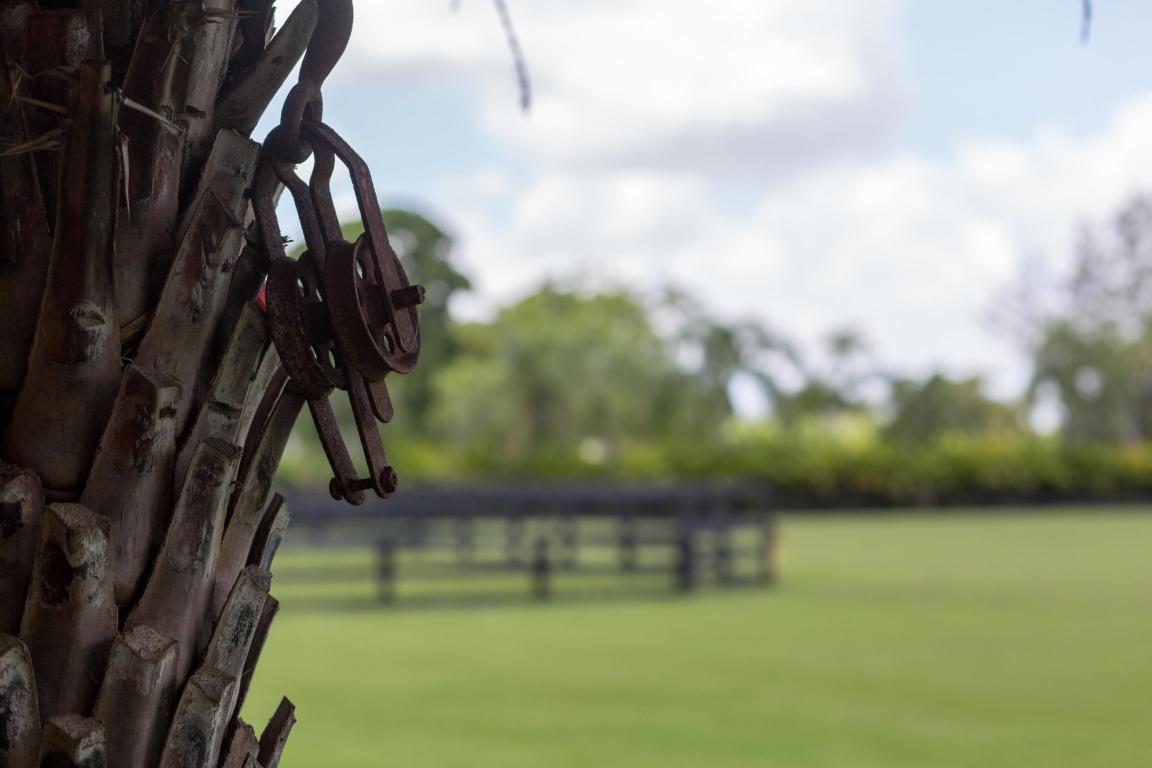 PALM GLADE RANCHES UNREC - Residential