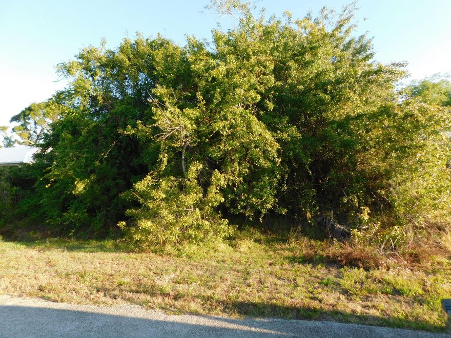 Investment lot in Lakewood Park