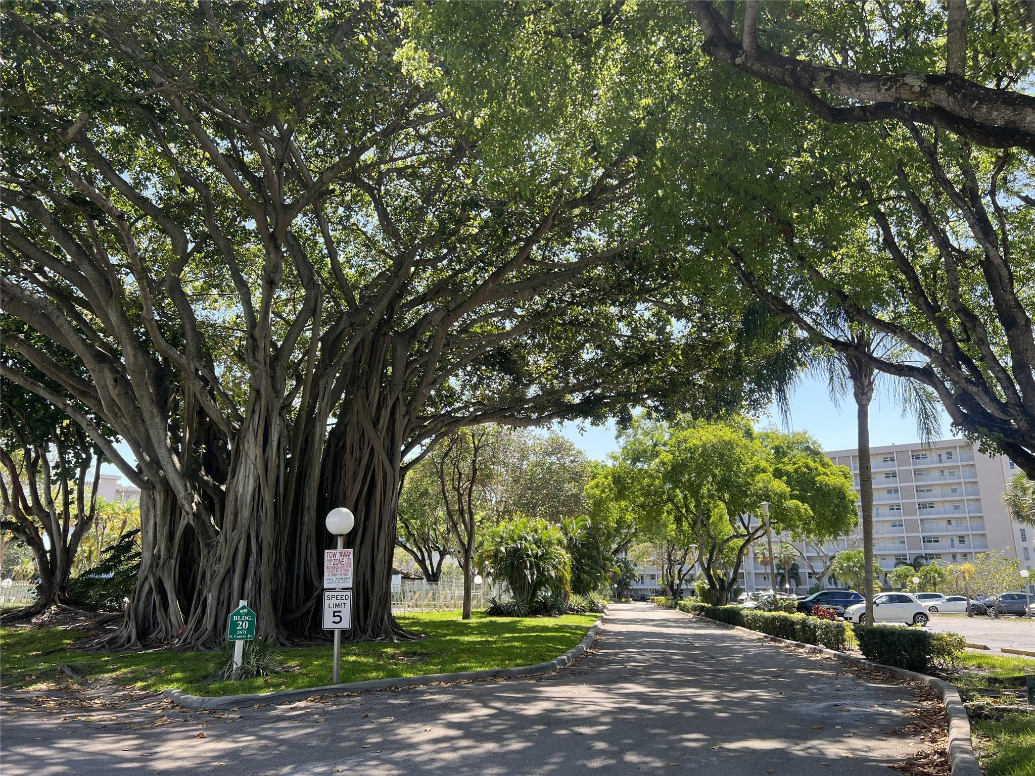 Palm Aire - Residential