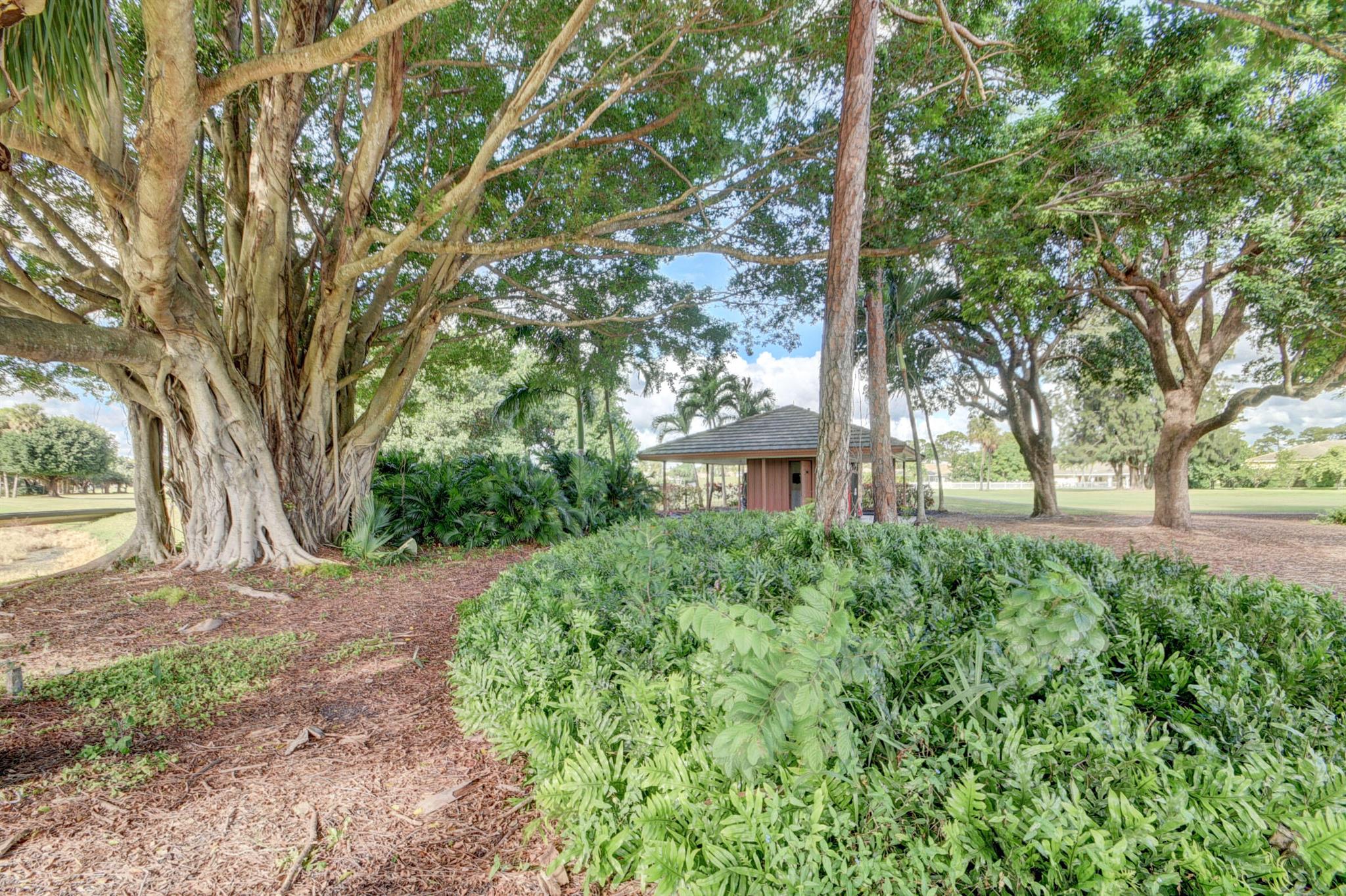 224 Orange Tree Drive