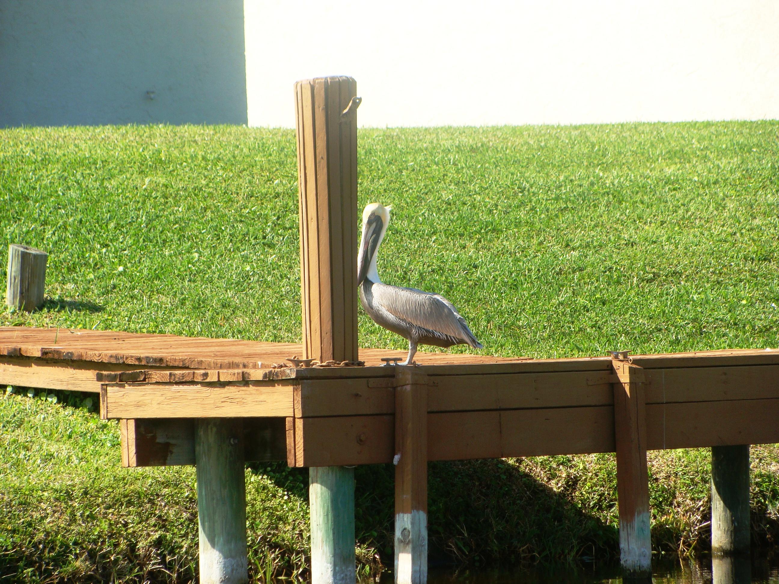 RAINBERRY LAKE PH IV-B - Residential