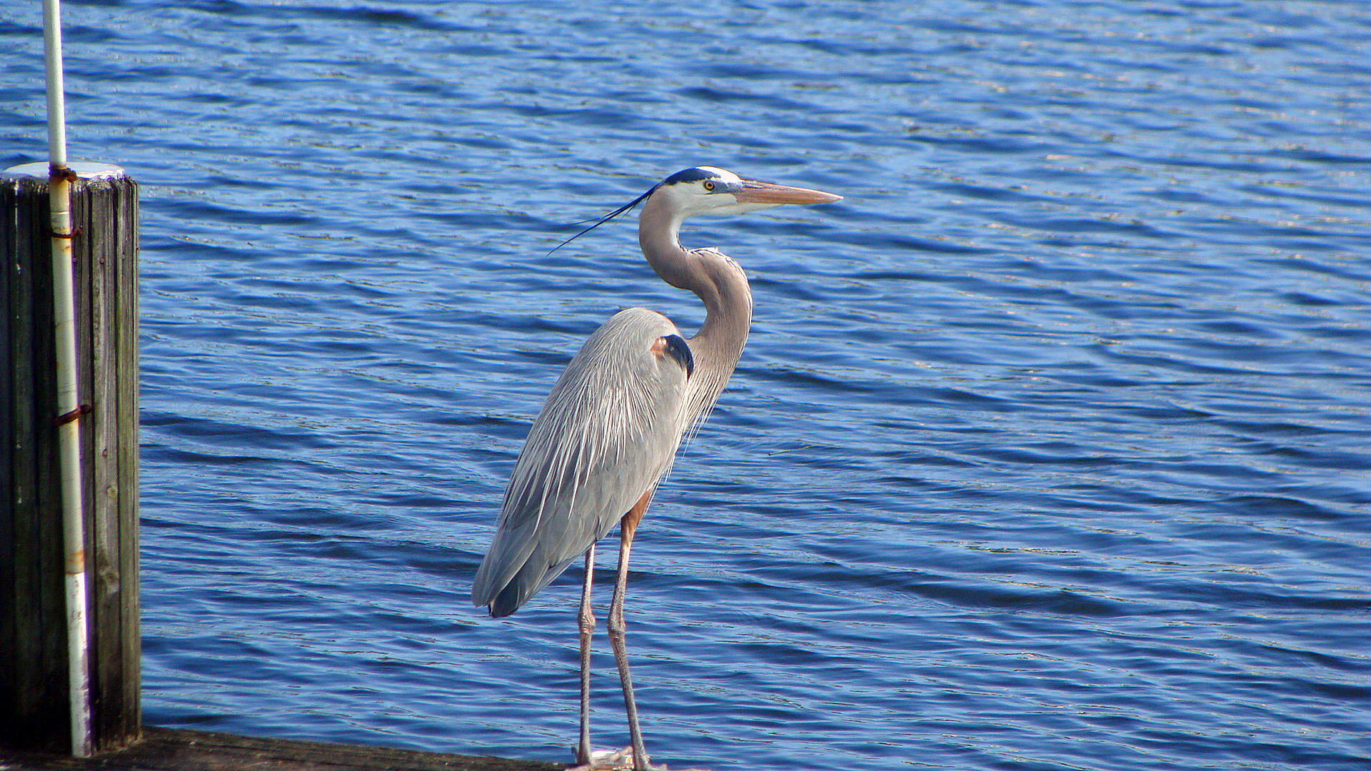 RAINBERRY LAKE PH IV-B - Residential