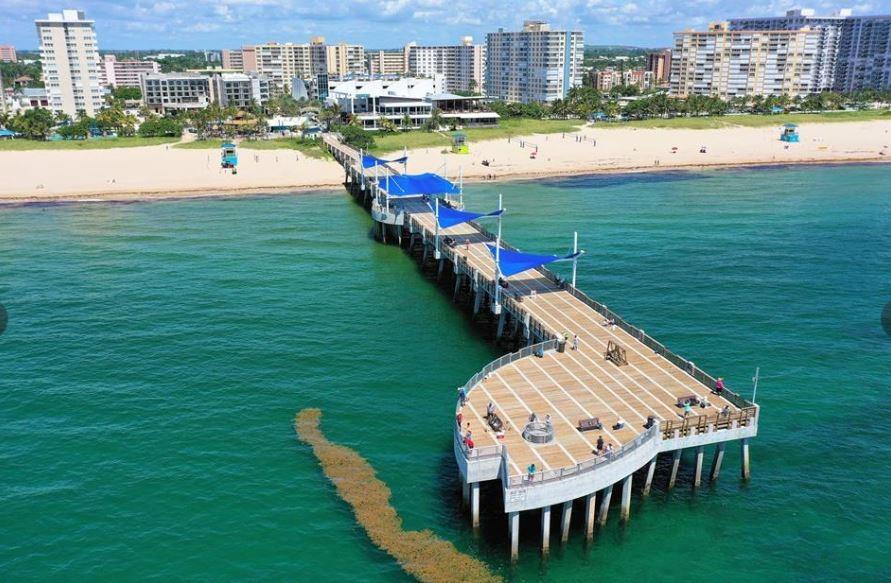 Ocean Monarch Condo - Residential Lease