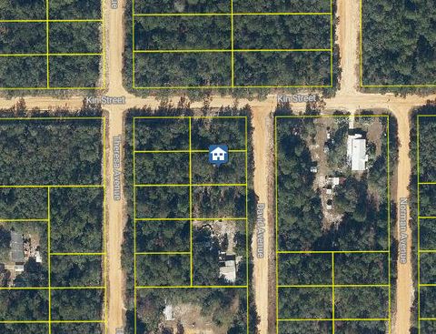 Lot 30 David Avenue Interlachen FL 32148