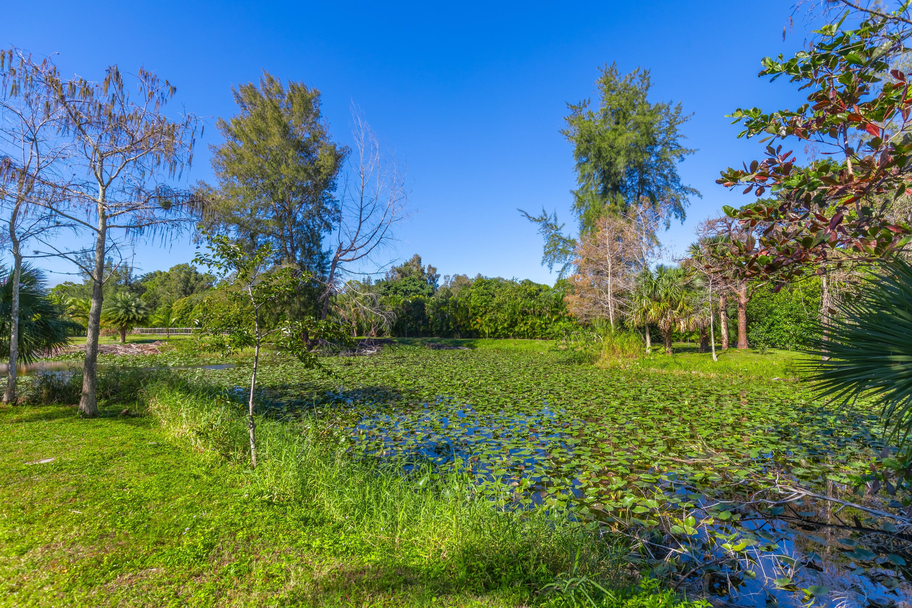 LOXAHATCHEE GROVES - Residential