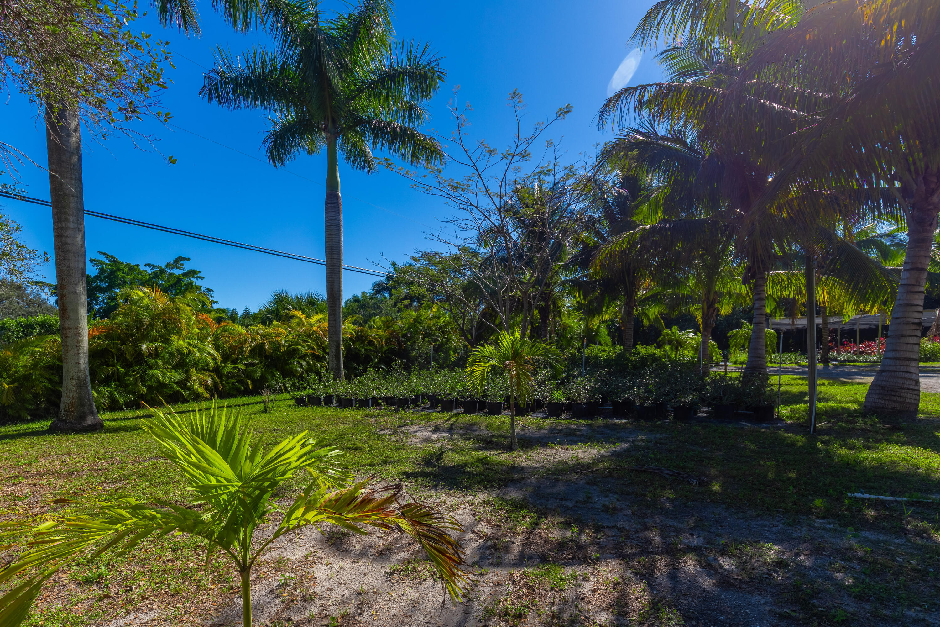 LOXAHATCHEE GROVES - Residential
