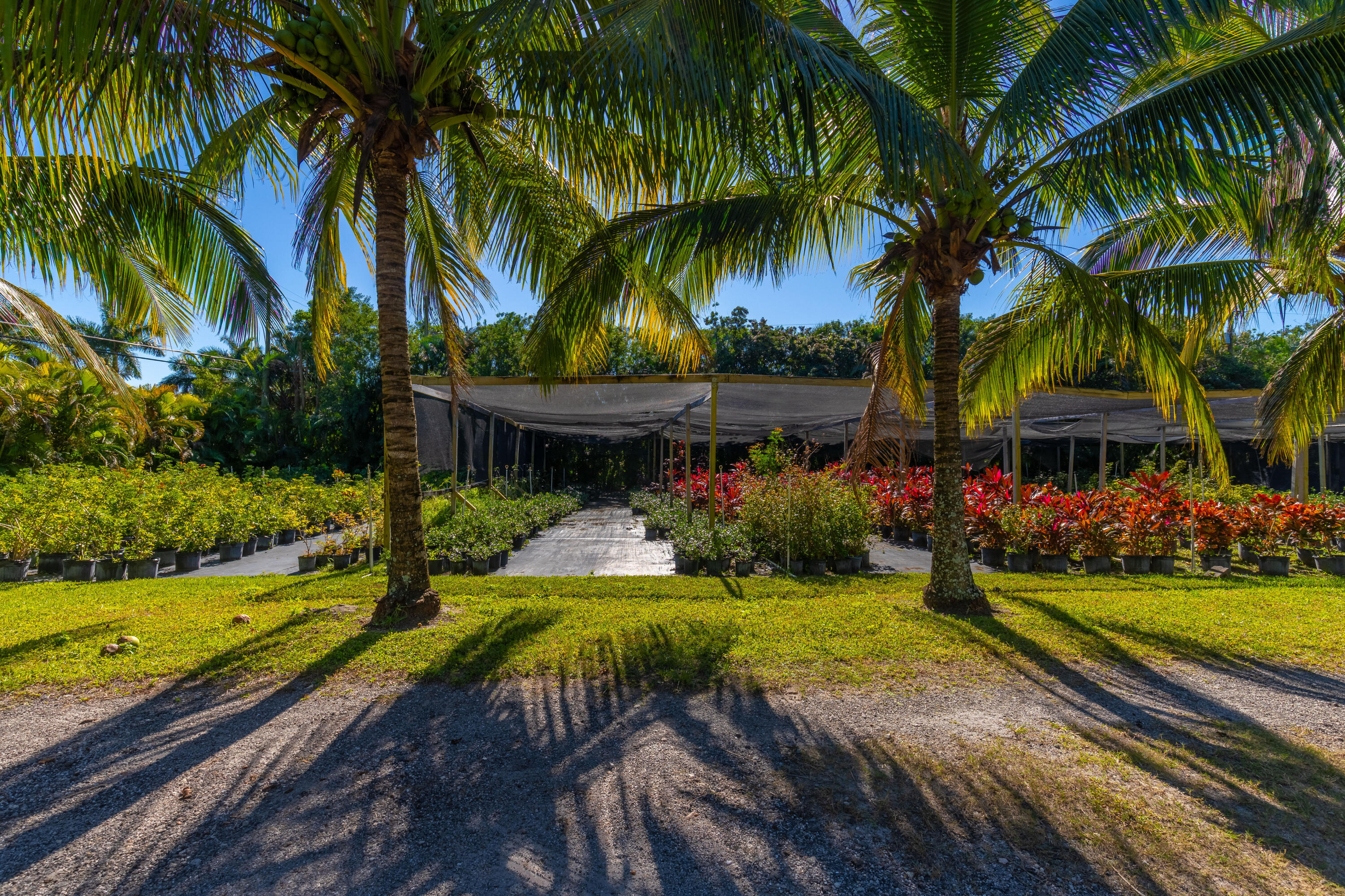 LOXAHATCHEE GROVES - Residential