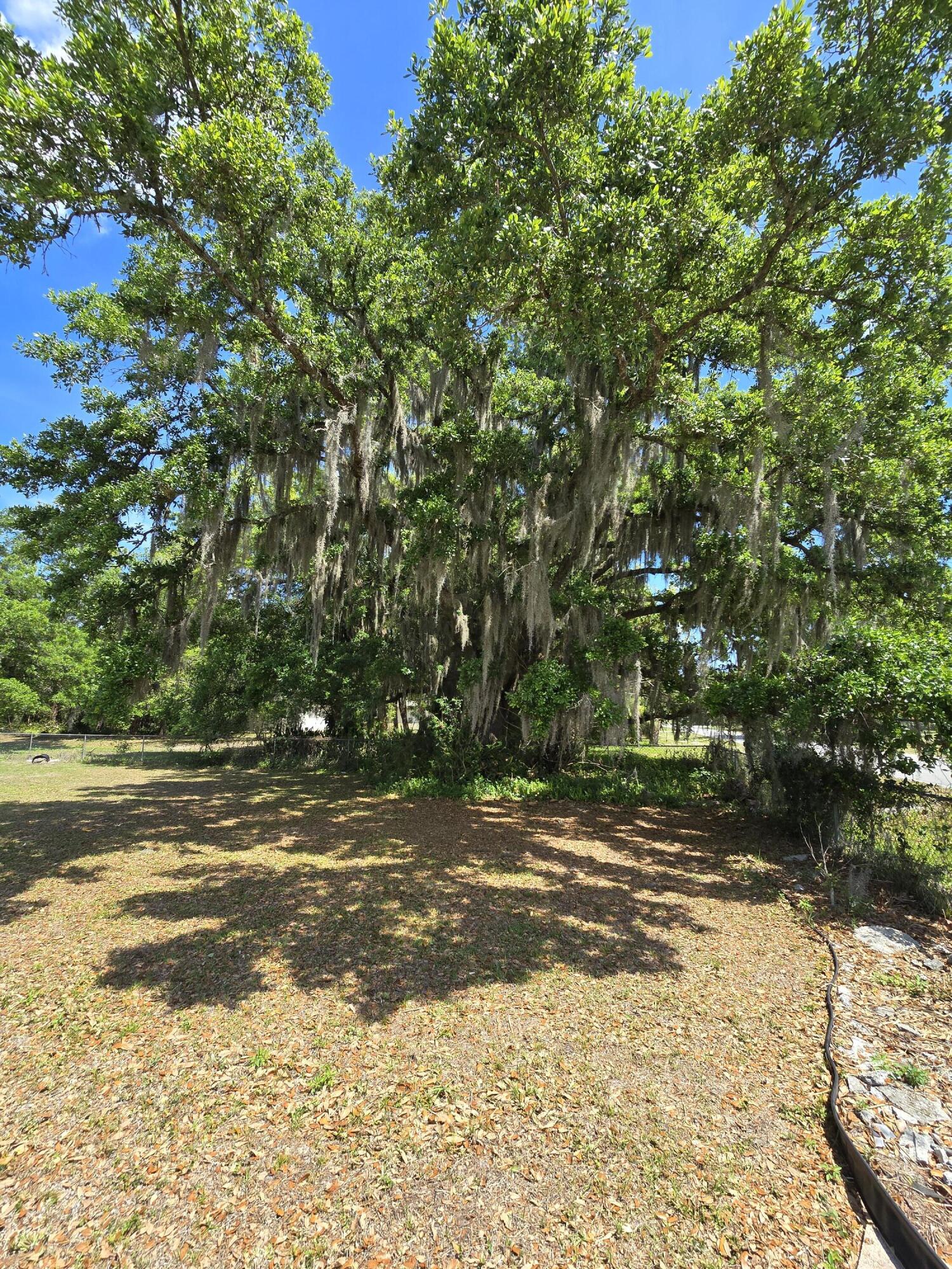 TOWN OF FELLSMERE - Residential