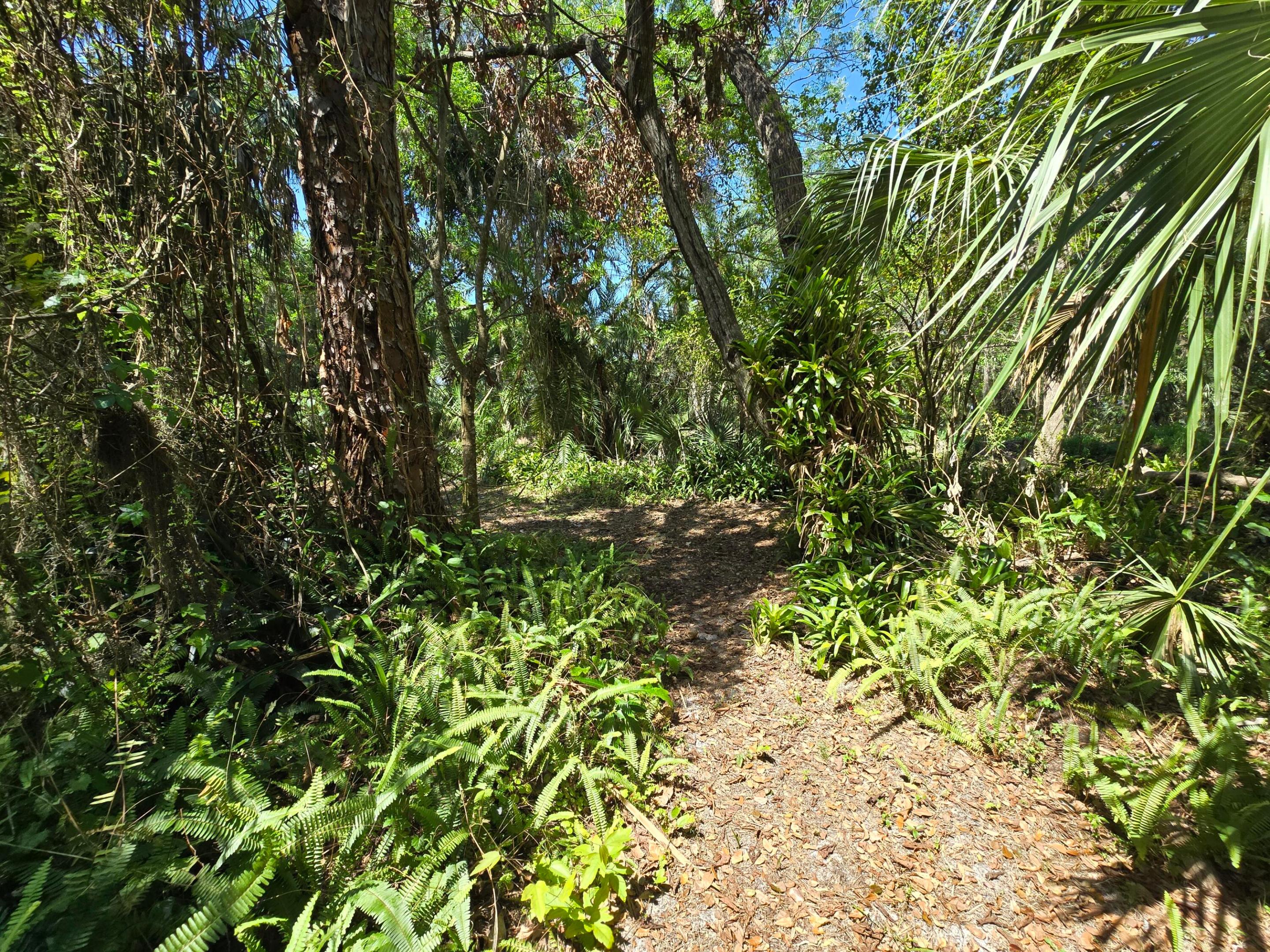 TOWN OF FELLSMERE - Residential