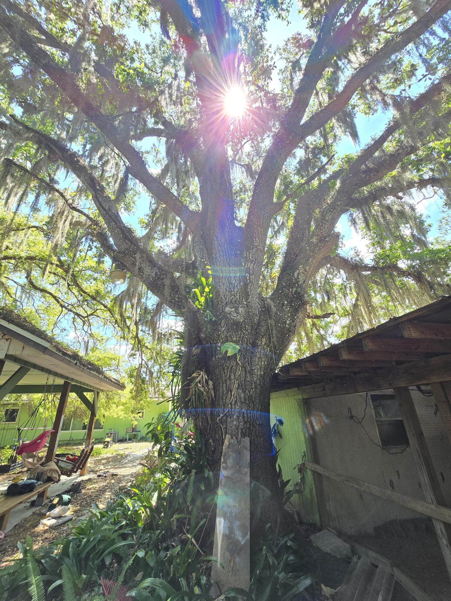 TOWN OF FELLSMERE - Residential