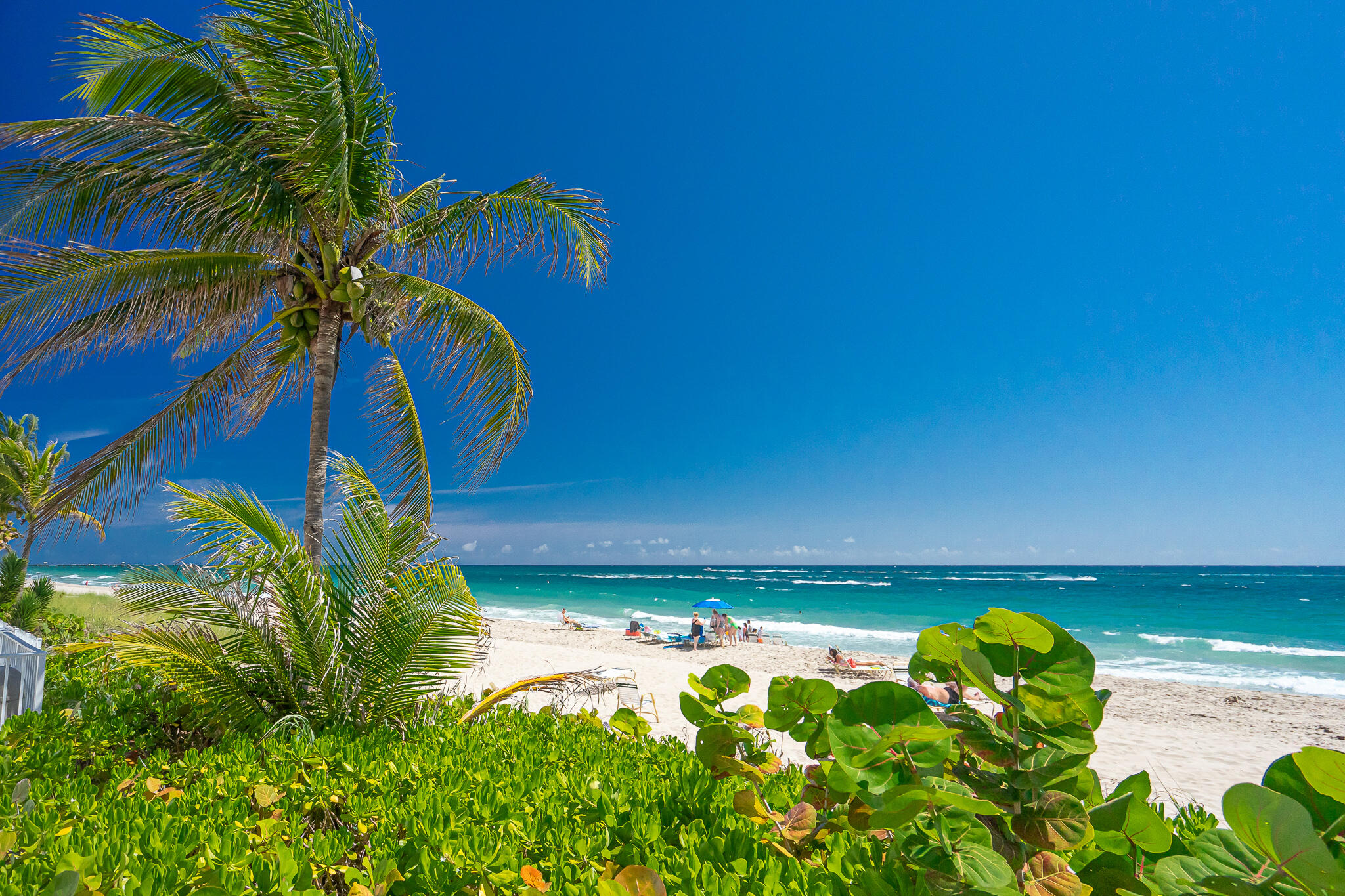 GALT TOWERS CONDOMINIUM - Residential