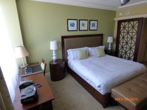 RESORT AT SINGER ISLAND H - Residential