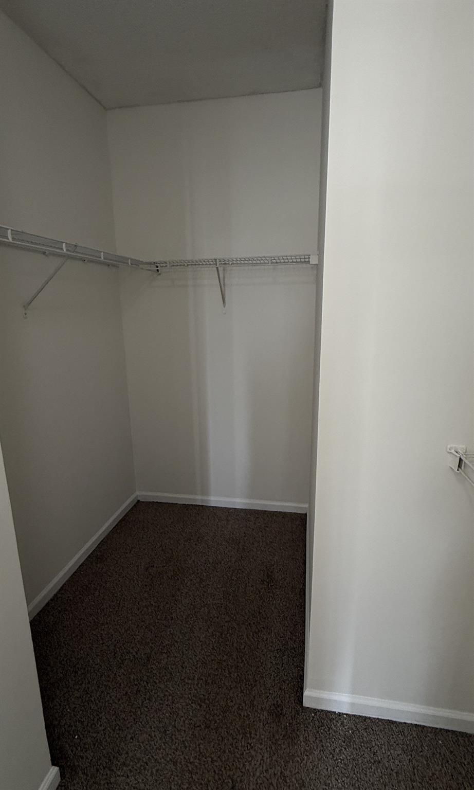 EL-AD POINCIANA - Residential Lease