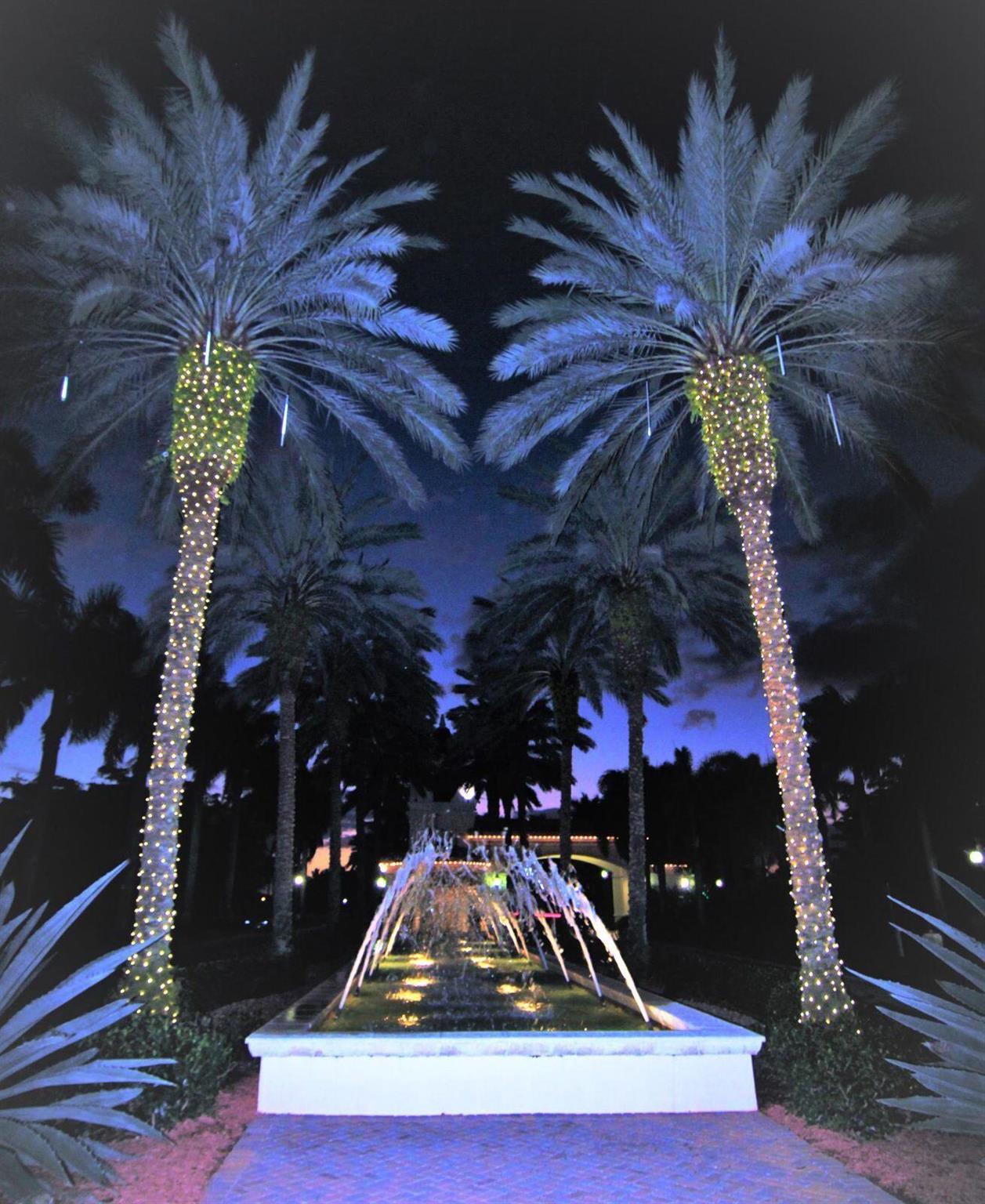 VALENCIA PALMS - Residential