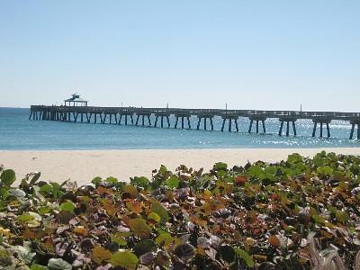 THREE THOUSAND SOUTH - Residential Lease