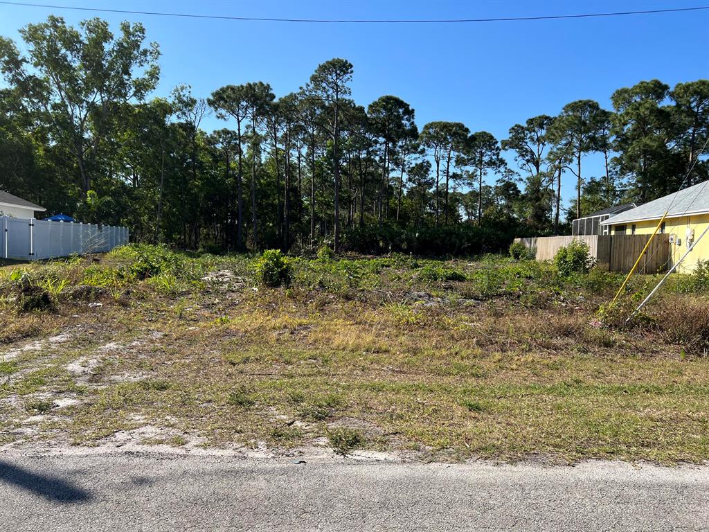 PORT ST LUCIE SECTION  31 - Land