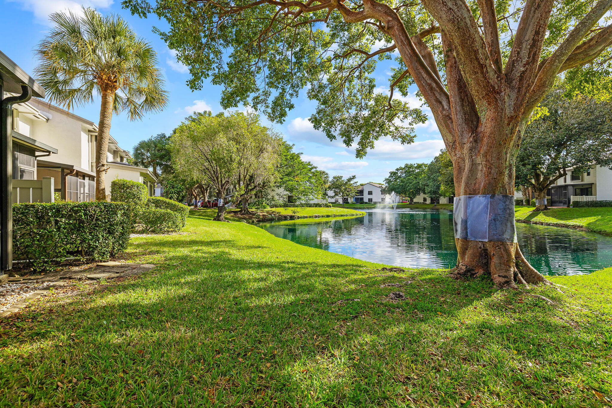 BAYWOOD VILLAGE II-B CONDO - Residential