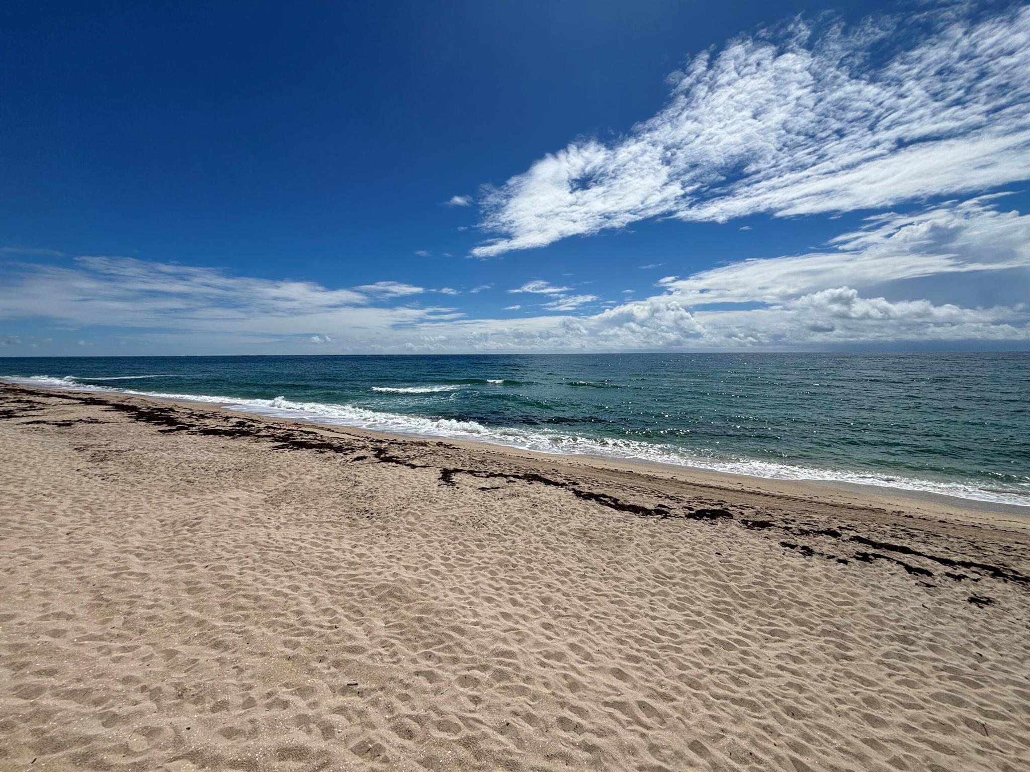 LE CHATEAU ROYAL CONDO - Residential Lease