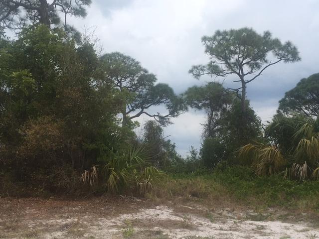 One of the few remaining lots left to build on in Tequesta, this homesite is at the end of a road and borders Jonathon Dickinson State Park on the North side of it. Low Martin county taxes! The lot already has the utilities available!