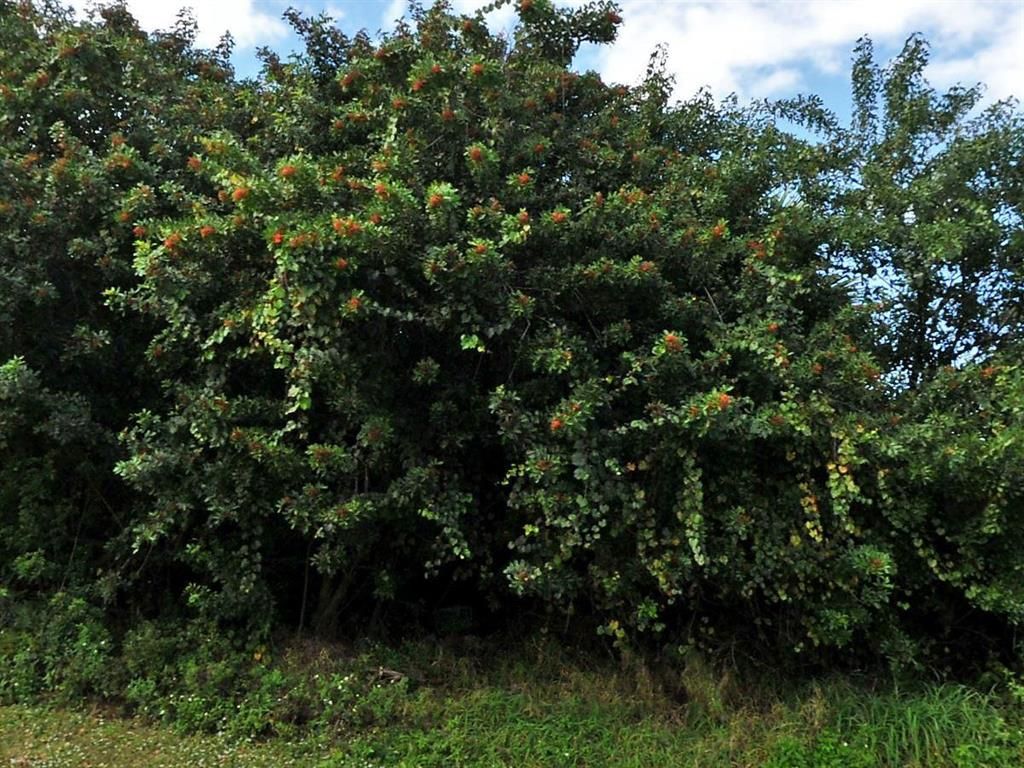 Photo of 250 NW Biltmore Street, Port Saint Lucie, FL 34983 (MLS # R10766079)