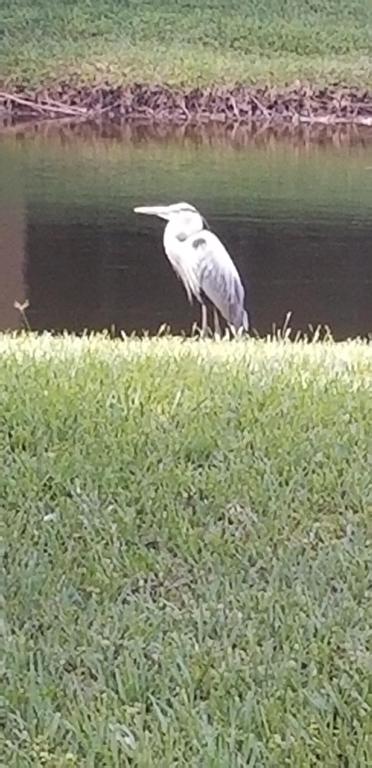 TARTAN COCONUT CREEK - Residential