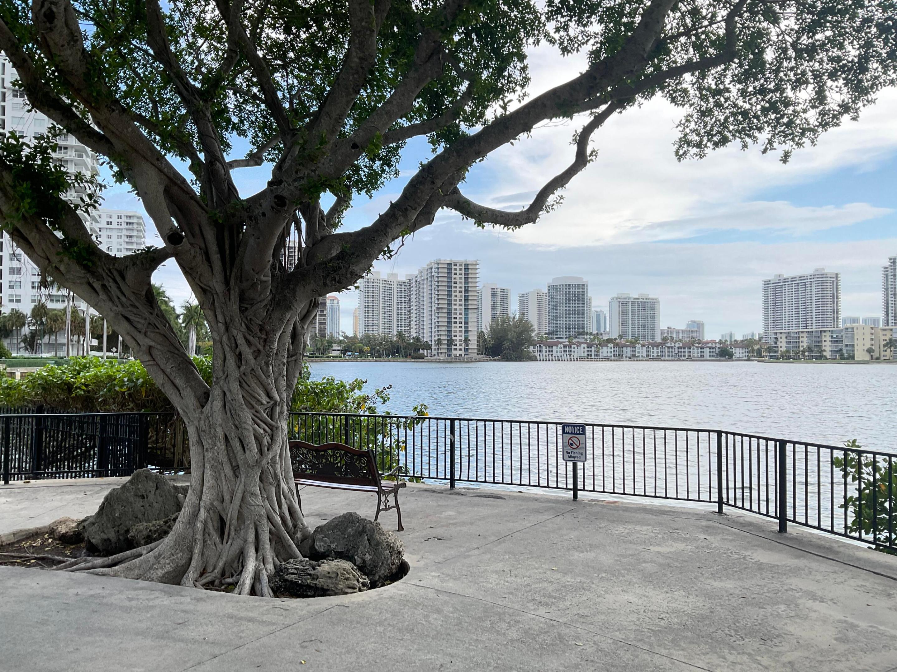 COMMODORE PLAZA CONDO - Residential