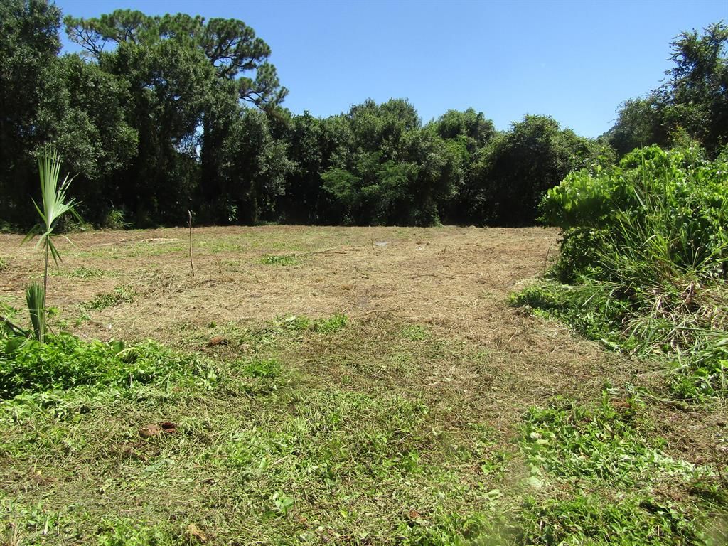 Photo of Tbd Baysinger Avenue, Fort Pierce, FL 34982 (MLS # R10703366)