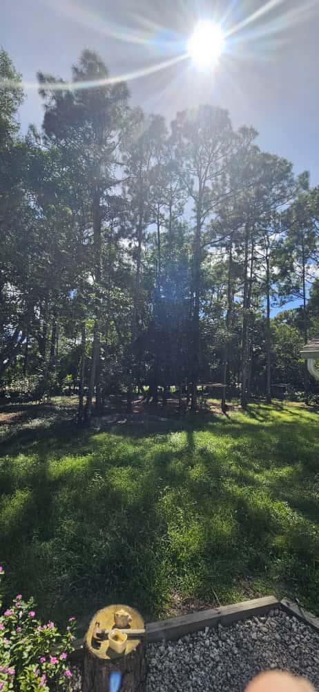 15941 MELLEN Lane, Jupiter FL 33478