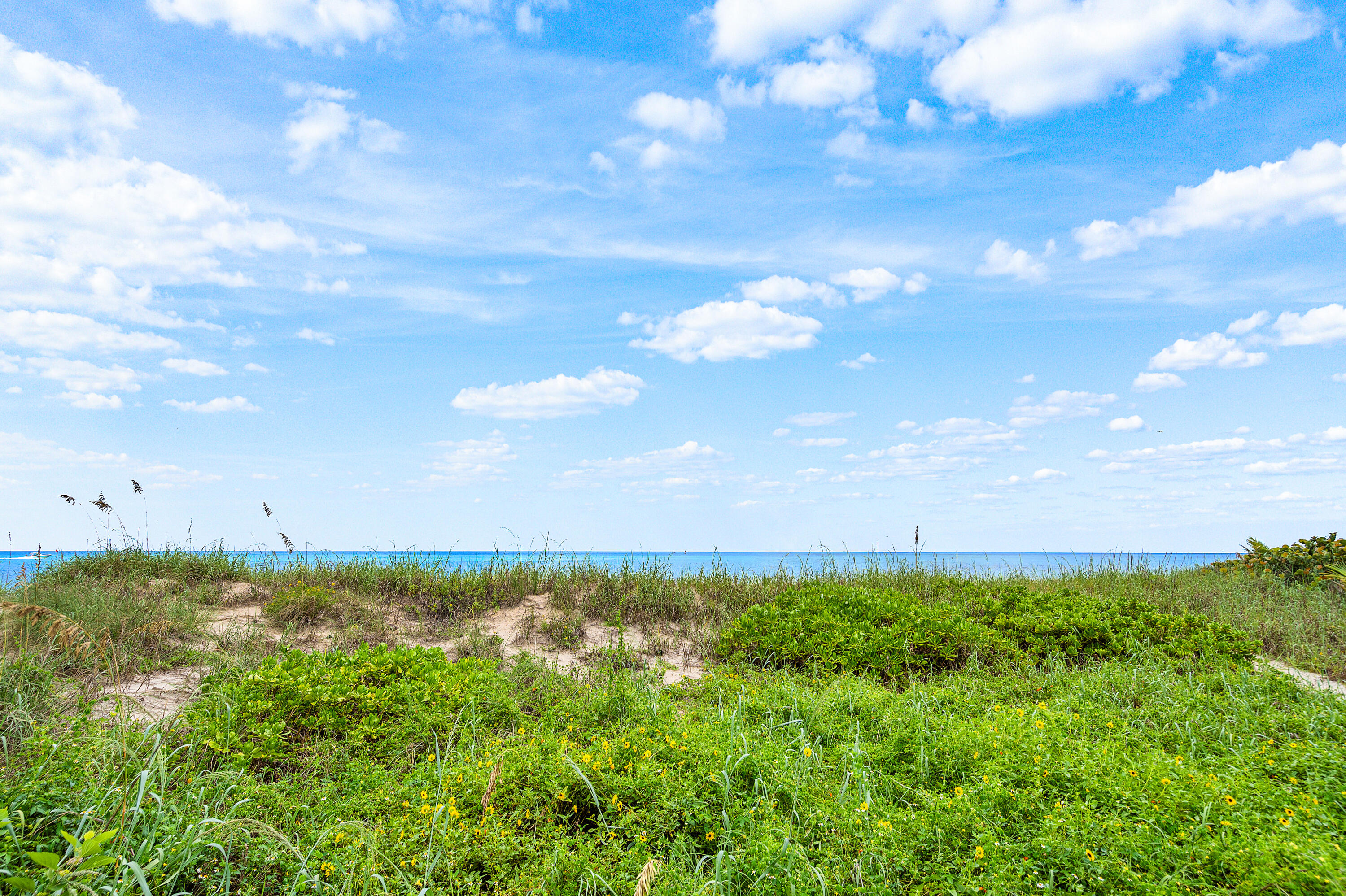 HILLSBORO SHORES - Residential