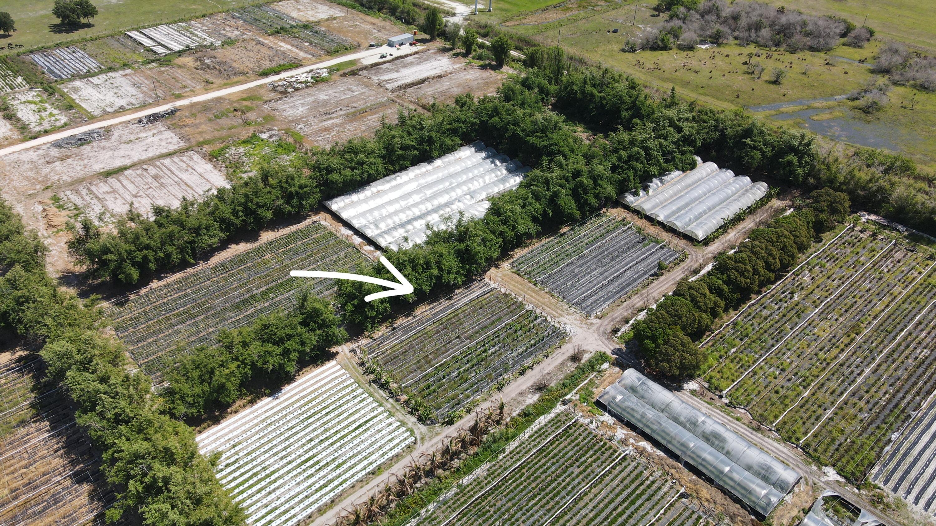 11931 SW Fox Brown Road